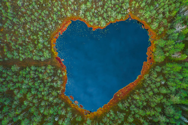 Jezioro w kształcie serca w lesie, widok z góry - Zdjęcie, obraz