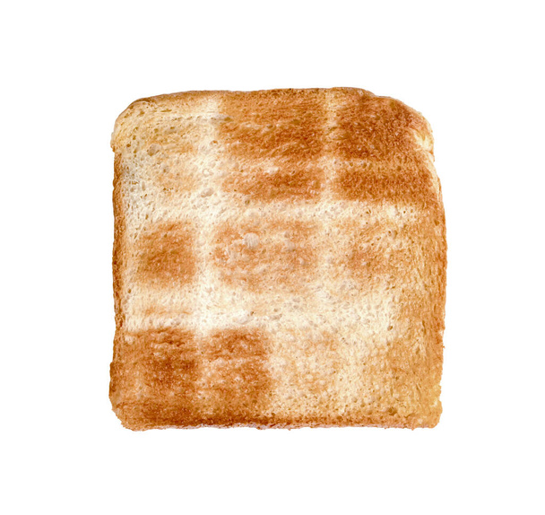 Pirított szelet kenyér elszigetelt fehér alapon  - Fotó, kép