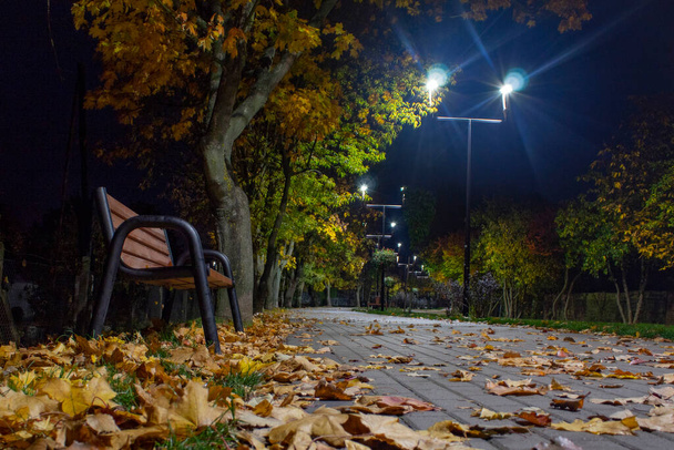 Autumn night in the park. - Photo, Image