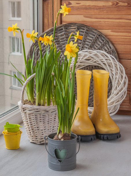 Yellow daffodils and rubber boots  - Valokuva, kuva