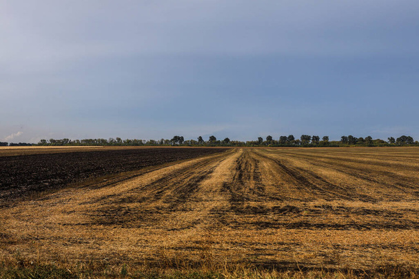 Harvested field, partially burnt. Agricultural landscape - Fotografie, Obrázek