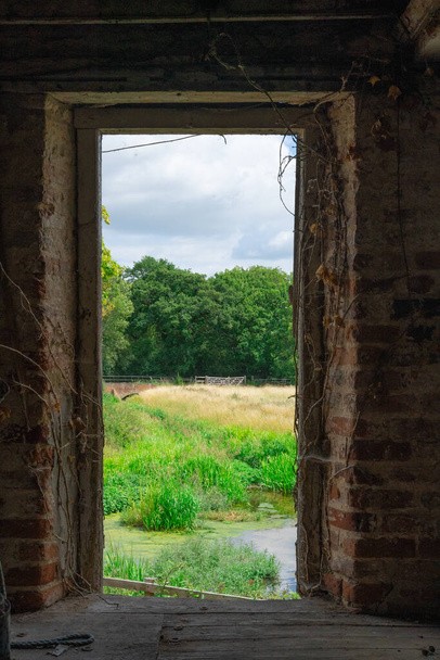 Kilátás egy elhagyatott épületből egy ajtókeretből egy fára és fűre, portré tájékozódás - Fotó, kép