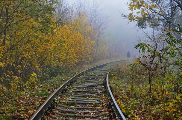 unused train tracks with forest background on a foggy day.railway tracks in a foggy forest - Photo, Image