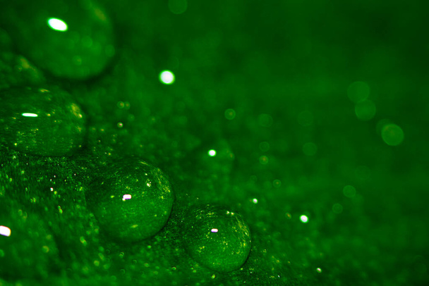 Abstraction natural blurred background. Water drops on a leaf, beautiful natural Eco background. - Φωτογραφία, εικόνα