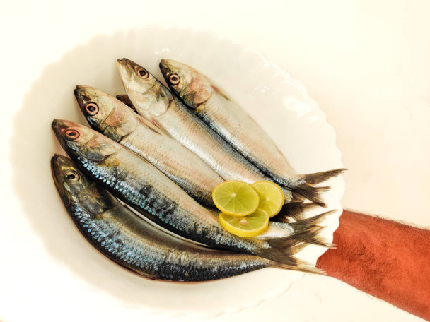 Nahaufnahme von frischem indischem Öl Sardinen auf einem weißen Topf, dekoriert mit Kräutern und Gemüse.Weißer Hintergrund. Halten mit der Hand. - Foto, Bild