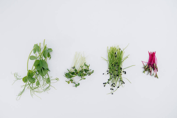 Μικροπράσινα βλαστάρια κοντά σε λευκό φόντο με ελεύθερο χώρο. Υγιεινά τρόφιμα και τρόπος ζωής - Φωτογραφία, εικόνα