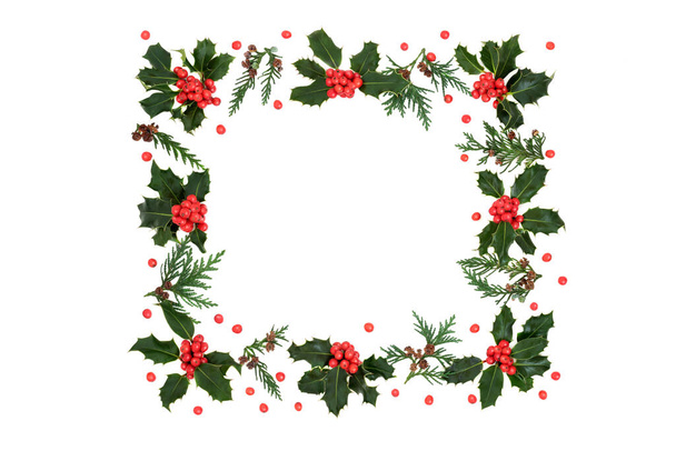 冬、クリスマス&新年の正方形のホリーベリーと杉の葉の花輪白い背景に緩い赤い果実。ホリデーシーズンのためのお祭りのテーマ&国境。フラットレイアウト、トップビュー、コピースペース. - 写真・画像