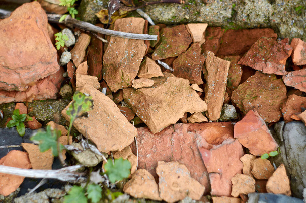 Photo of broken bricks and green plants - Photo, Image