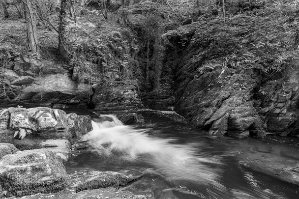 Длительное воздействие водопада на реке Ист-Лин, протекающего через леса на Уотерсмит в Национальном парке Эксмур - Фото, изображение