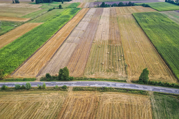 Повітряний вид на дорогу між полями навколо невеликого села Яцев, Gmina Korytnica, Мазовія (Польща). - Фото, зображення
