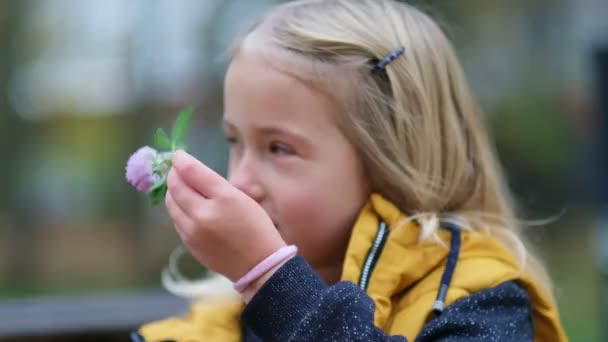 Güzel küçük bir kızın portresi, saçında yonca çiçeği. 5 yaşındaki tatlı kız kameraya gülümseyen bir gülümsemeyle başka tarafa bakıyor. Yakın çekim videosu. Yavaş çekim görüntüleri - Video, Çekim