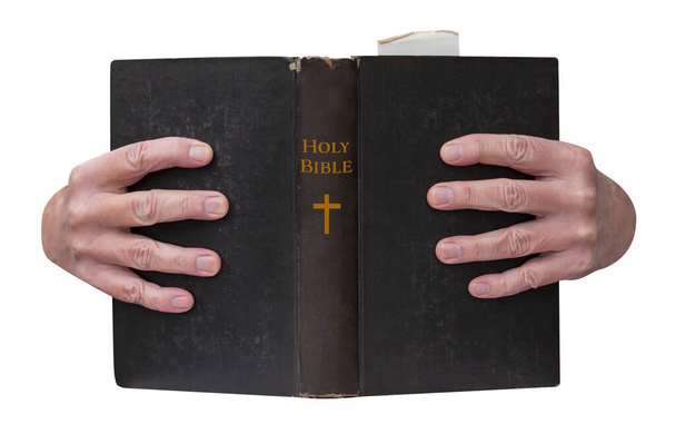 Hands holding the christian Holy Bible book open with golden title on binding. Isolated on white background.  - 写真・画像