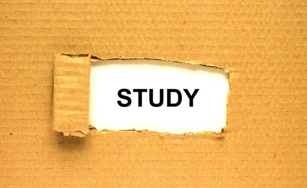 The word Study appearing behind torn brown paper. Can be use as a concept photo - Photo, image