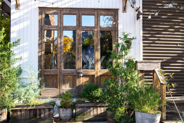Vecchia porta chiusa a chiave, in legno con piante nella parte anteriore. Riflessione nella porta di vetro - Foto, immagini