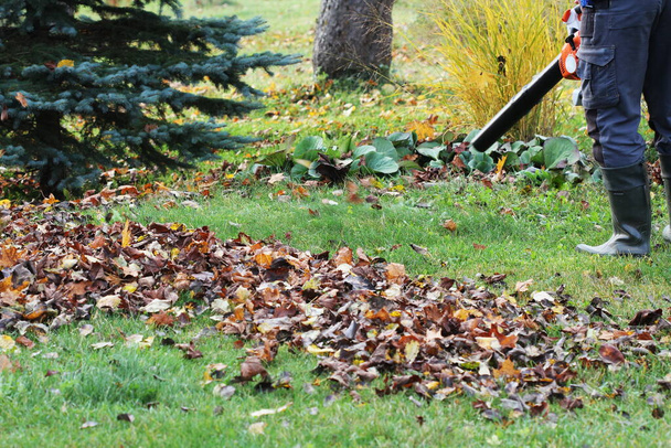 Werknemer schoonmaken vallende bladeren in de herfst park. Man gebruikt bladblazer voor het reinigen van herfstbladeren. Herfstseizoen. Diensten voor parkreiniging. - Foto, afbeelding