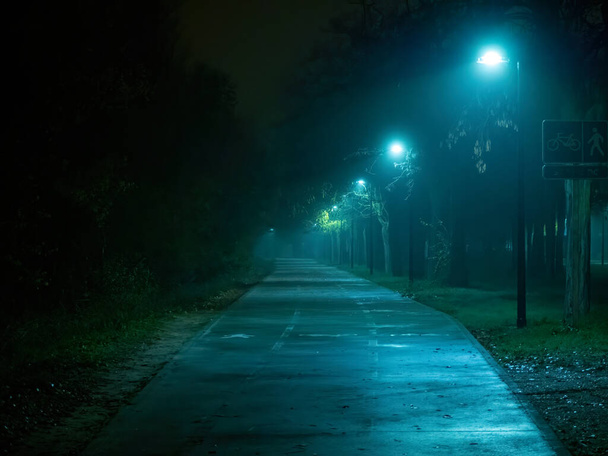 Trees and street lamps on a quiet foggy night - Photo, Image