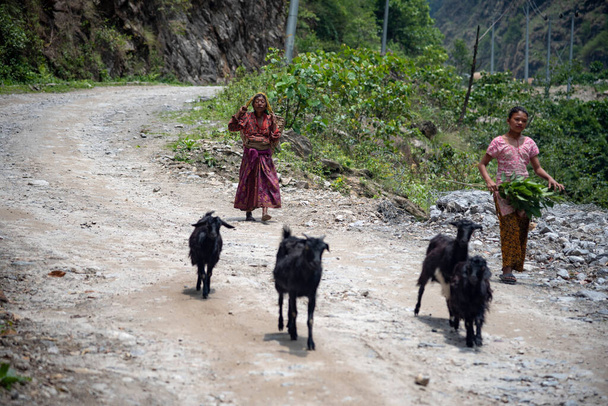 ヒマラヤ山脈のネパール人女性。ナ村だ。2018年4月27日 - 写真・画像