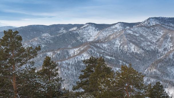 Delikatne zbocza leśnych wzgórz pokryte są pierwszym śniegiem. Widok na doliny górskie i grzbiet na horyzoncie. - Zdjęcie, obraz