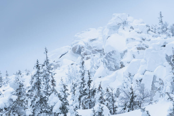Huurrettu metsä lumen peitossa vuorijono - Valokuva, kuva