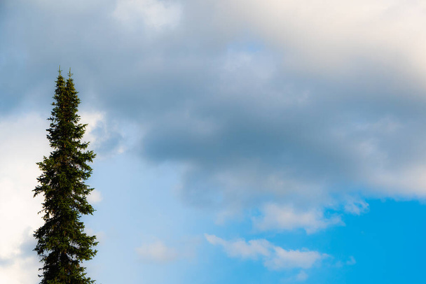 Мягкая текстура облаков на голубом фоне неба - Фото, изображение