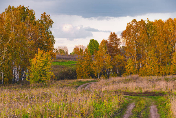 Autumn landscape with dirt road. Rural road in autumn field under cloudy sky. - Фото, зображення