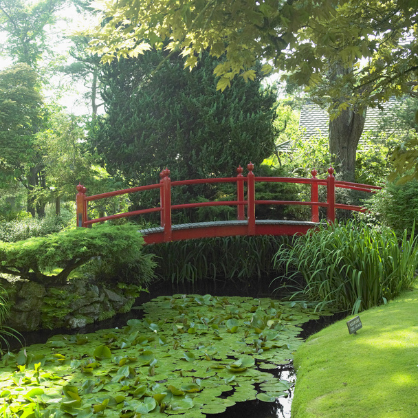 Japon bahçesi, tully - Fotoğraf, Görsel