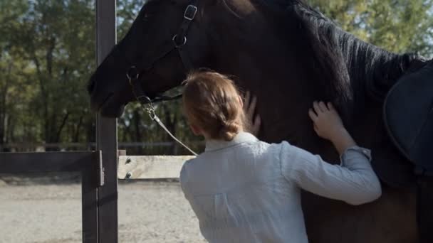 Πίσω όψη της γυναίκας σε λευκό πουκάμισο αγγίζοντας σκούρο άλογο της σε εξωτερικούς χώρους - Πλάνα, βίντεο