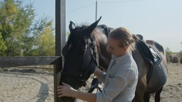 Νεαρή αναβάτρια με λευκό πουκάμισο αγγίζει το σκούρο της άλογο στην ύπαιθρο - Πλάνα, βίντεο