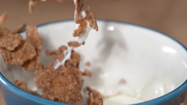 MACRO: Zimne mleko i płatki śniadaniowe pełnoziarniste wpadają do pustej miski. - Materiał filmowy, wideo