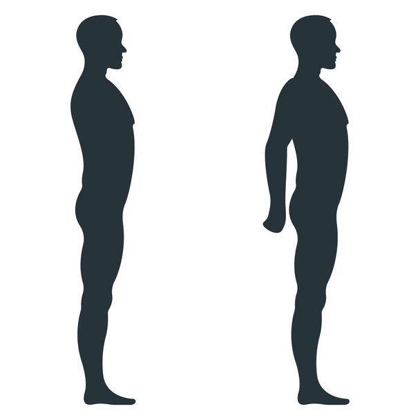 Caractère humain masculin, silhouette avant du corps humain, isolé sur une illustration vectorielle plate et blanche. Mannequin noir échelle de personnes concept. - Vecteur, image