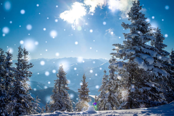 Beau panorama hivernal enneigé avec montagnes, forêt et soleil. Sapins couverts de neige. Fond de Noël - Photo, image