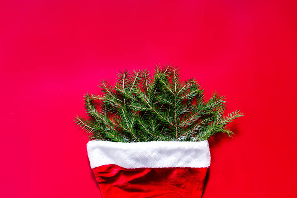 Sombrero rojo de Santa Claus con ramas de árbol de Navidad sobre fondo monofónico rojo. Fotografía horizontal - Foto, Imagen