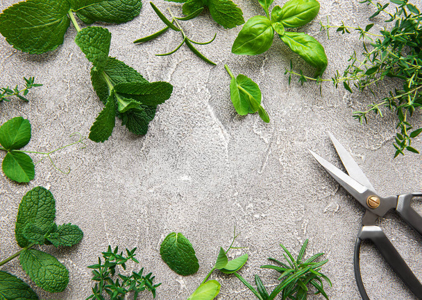Assortment of fresh aromatic herbs from above on grey concrete background. Mint, thyme, basil, rosemary, top view. - Photo, Image