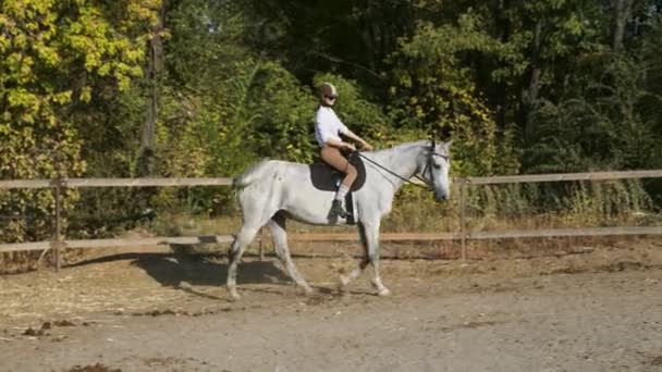 Reiterin in Reitkleidung auf einem Pferd. Liebe und Freundschaft. Reiten - Filmmaterial, Video