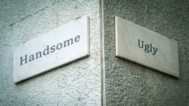 Street Sign the Direction Way to Handsome versus Ugly - 写真・画像