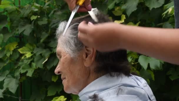 Cortar el cabello de la mujer mayor en casa mientras está en cuarentena - Metraje, vídeo