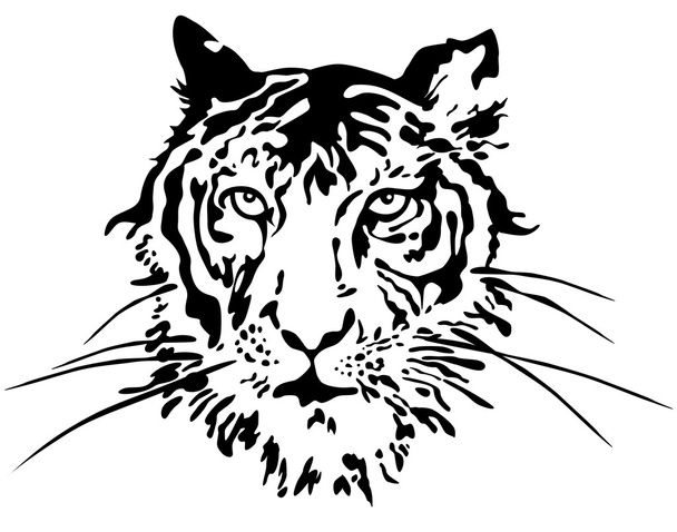 tijger gezicht. vector - Vector, afbeelding