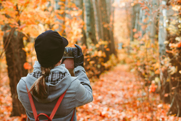 a girl takes photos in the autumn forest on a smartphone - Фото, зображення