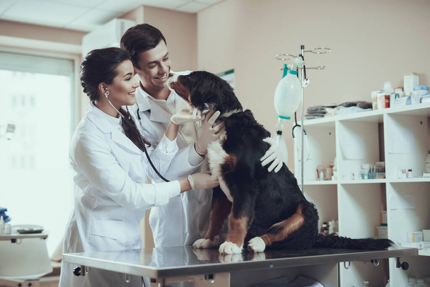 Man looking at a sick dog in the clinic.  - Фото, зображення