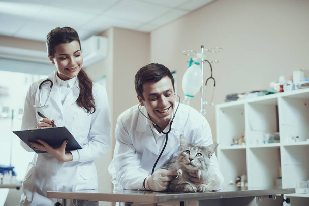 Male doctor listening to a sick cat in the clinic. - Photo, image