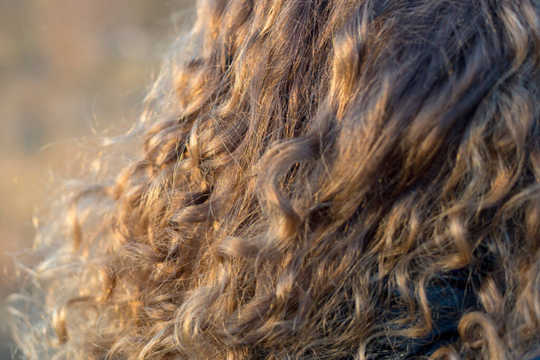 Photo of curls of light curly hair, fragment, close-up - Photo, Image