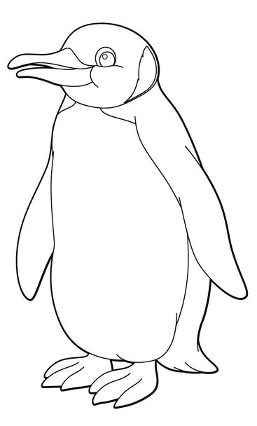 Penguin. Arctic animal - coloring page - Фото, изображение
