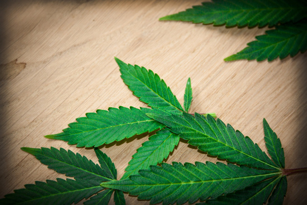 Marihuana-Blätter auf Holztisch - Foto, Bild