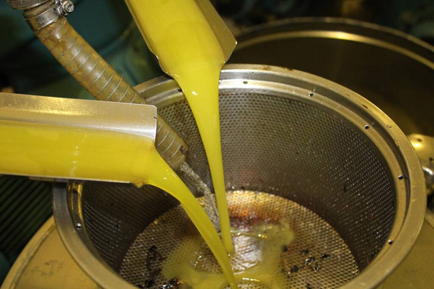 Procédé d'extraction d'huile d'olive extra vierge dans un moulin à huile situé dans la banlieue d'Athènes en Attique, en Grèce. - Photo, image