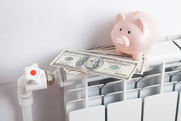 Sparschwein und Dollar auf dem Kühler. Energieeinsparung  - Foto, Bild