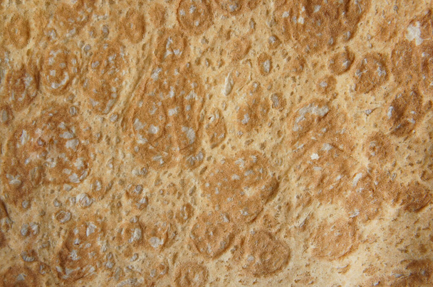 pita bread brown  potholes background                                     - Photo, Image