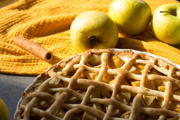 Apple pie on fabric textured background. Classic American tart close up. Autumn menu ideas.  - Фото, изображение