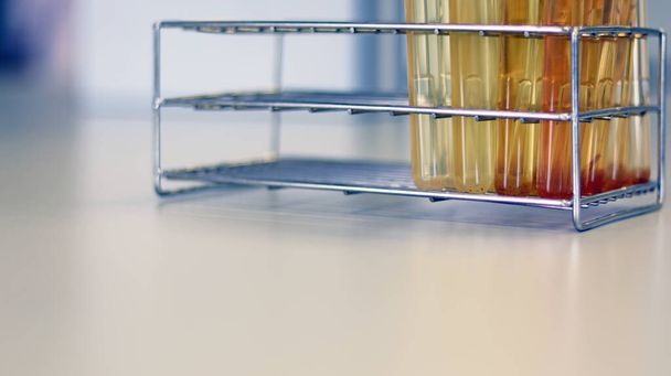 Analiza mikrobiologiczna E.Coli w użyciu próbek żywności Najbardziej prawdopodobna liczba (MPN) technika badania bakterii Coliform hodowanych z rosołu Tryptose Lauryl w żółtym roztworze probówki z rurką Durham. - Zdjęcie, obraz