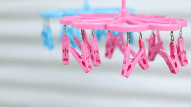 Pink and Blue plastic clothespins, clip clothes on the hangers, use for hanging clothes or underwear after washing and drying. Thailand useful object style, isolated in white zinc blurred background. - Fotografie, Obrázek