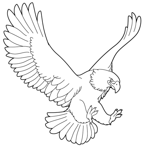 Cartoon animal - wild  eagle - Φωτογραφία, εικόνα
